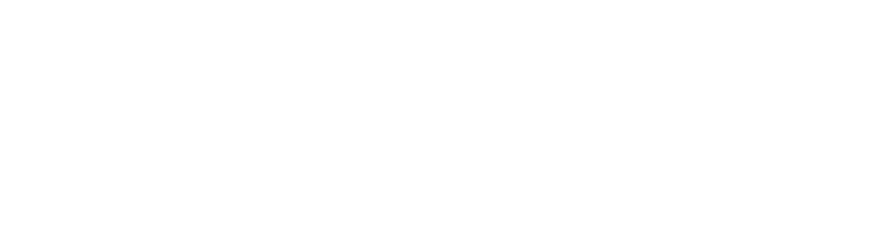 Nexa Cybersecurity